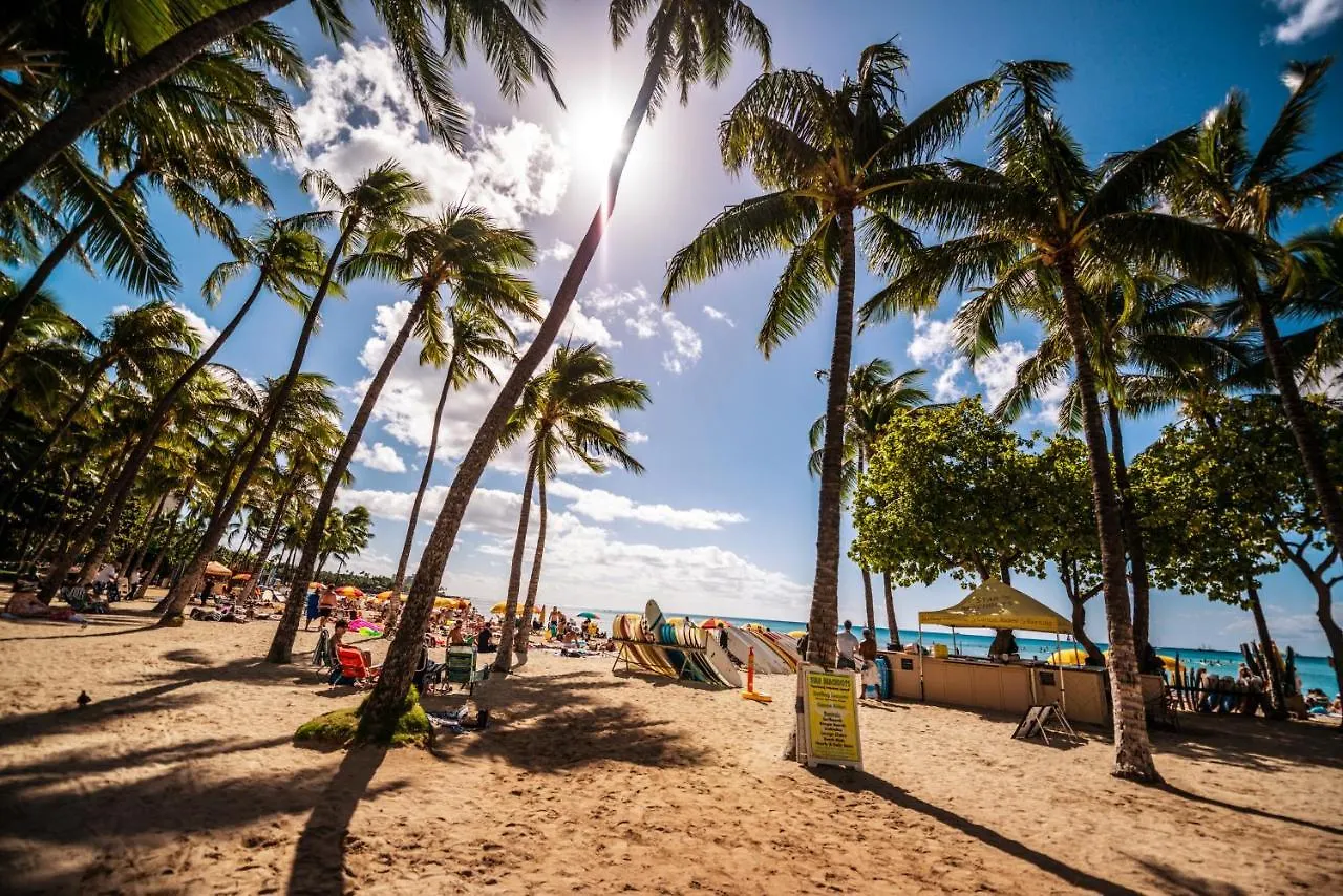 Cozy Mountain View Haven With Free Parking! Apartment Honolulu